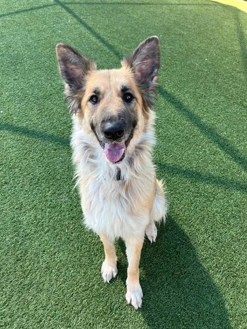 Marceline thumbnail 2