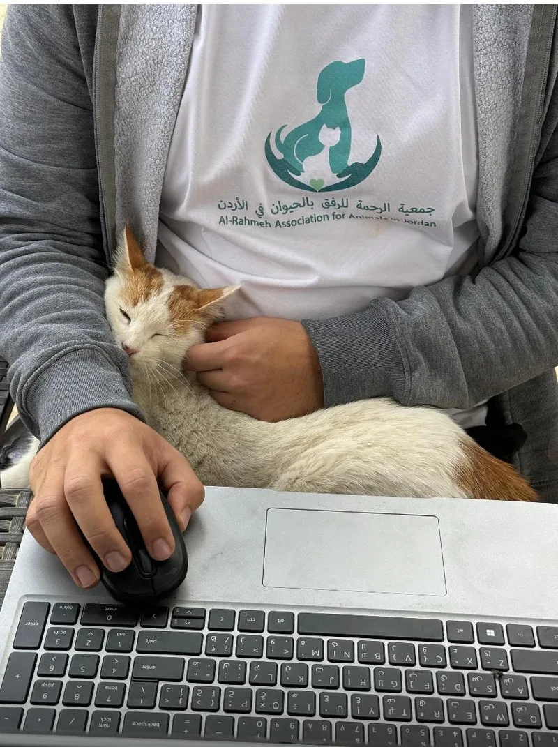 Nara  The Sweetest thumbnail 2