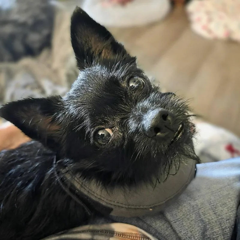 Ella Mae thumbnail 2