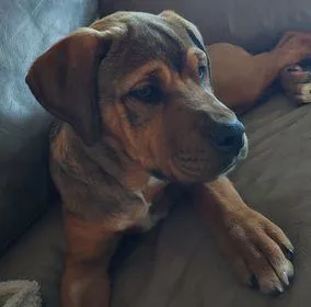 Khalia  Lowell  thumbnail 2