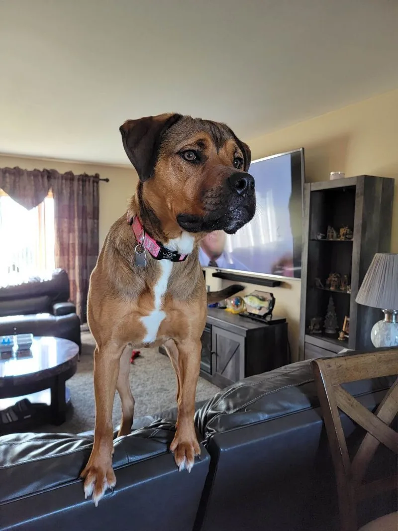 Khalia  Lowell  thumbnail 3