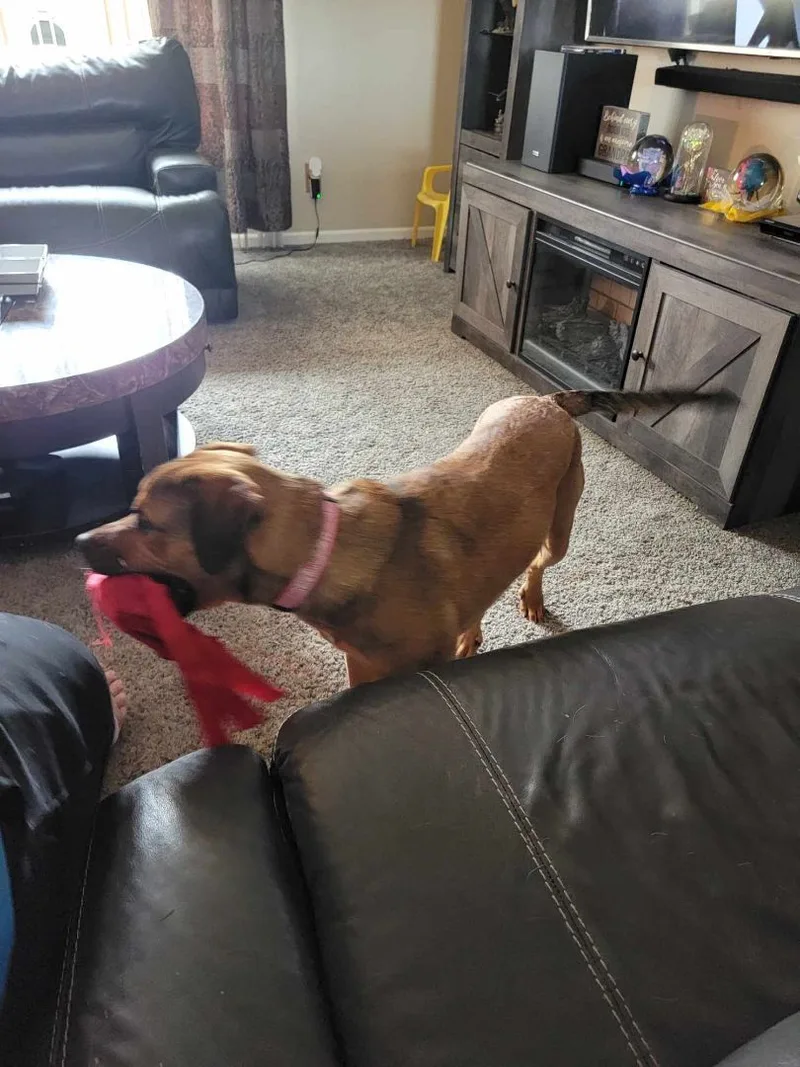 Khalia  Lowell  thumbnail 4