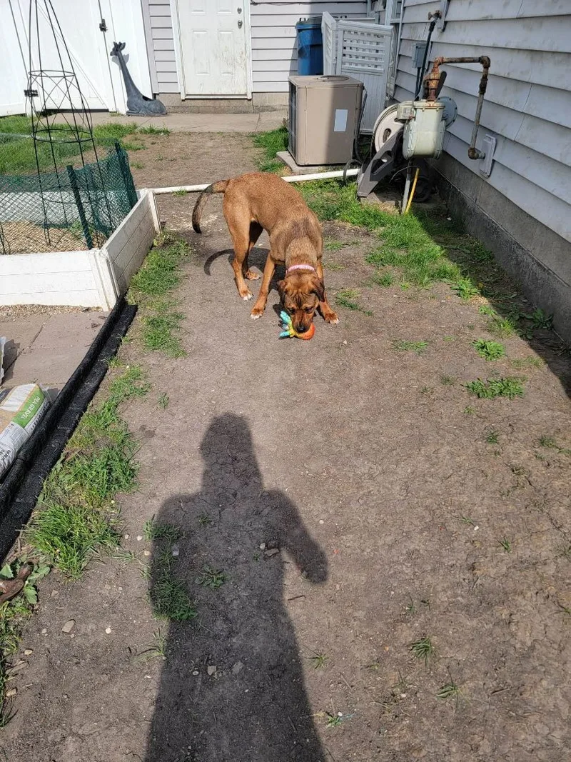 Khalia  Lowell  thumbnail 5