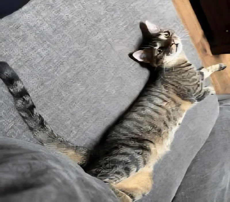 Prudence thumbnail 2