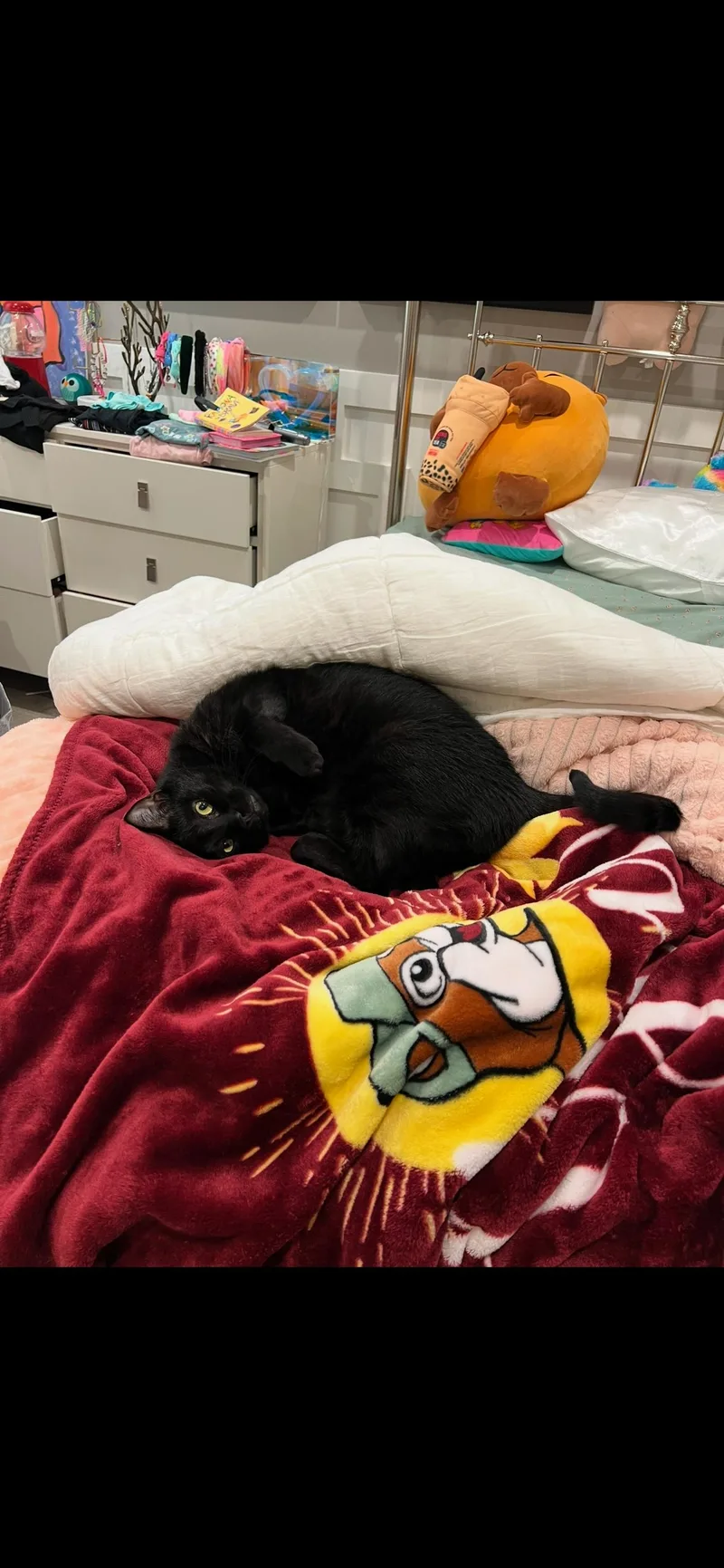 Max & Shenal thumbnail 6