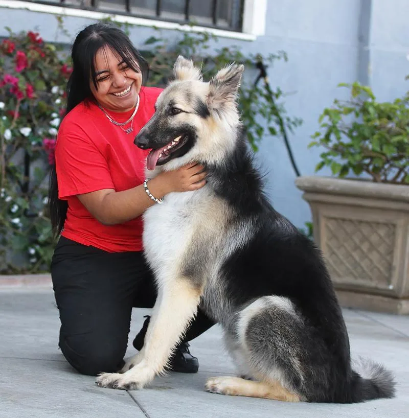 Simba Von Schleiz thumbnail 4