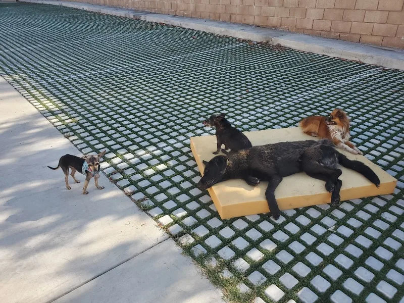 Magnificent Miles Davis!!! thumbnail 2