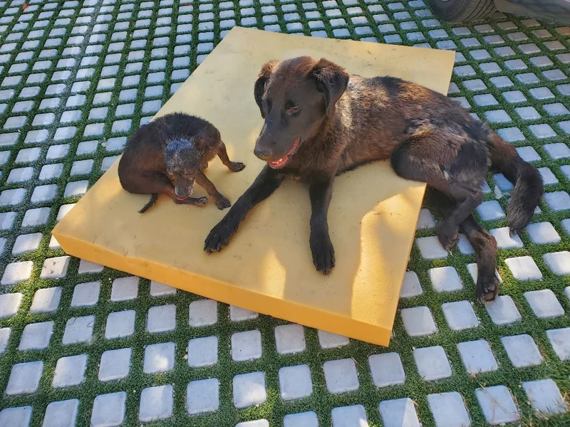 Magnificent Miles Davis!!! thumbnail 4