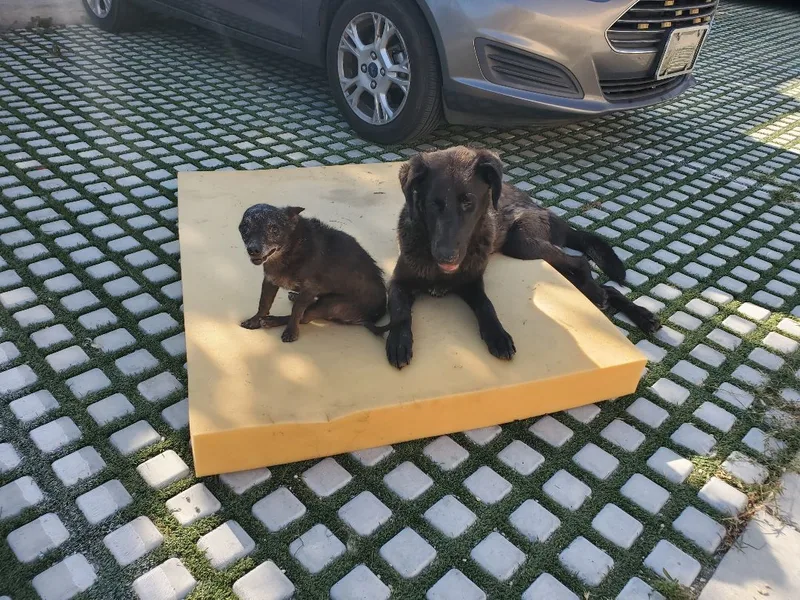 Magnificent Miles Davis!!! thumbnail 5