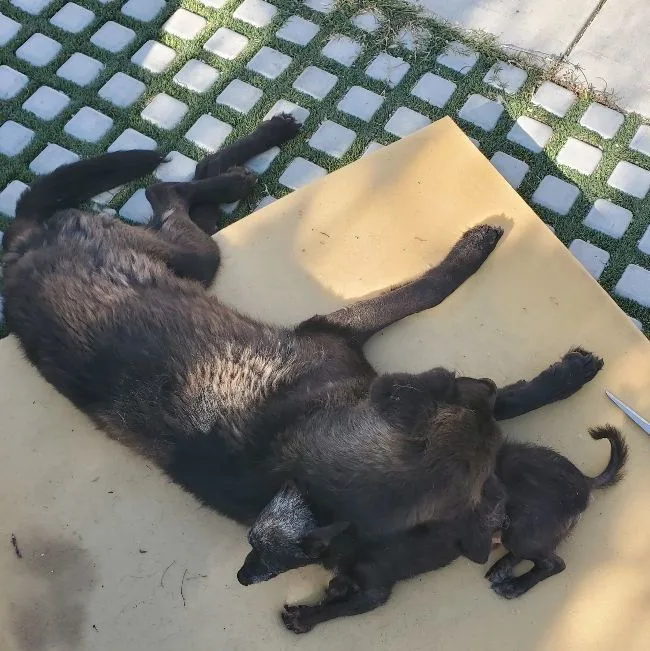 Magnificent Miles Davis!!! thumbnail 6