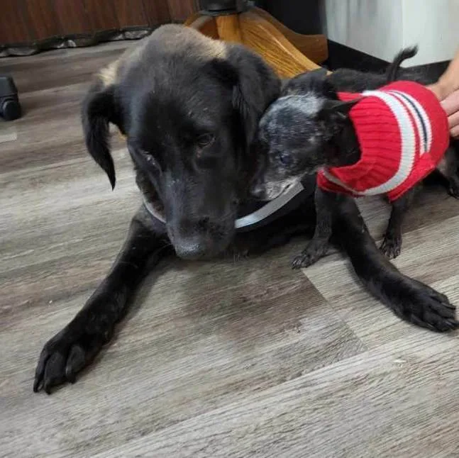 Magnificent Miles Davis!!!