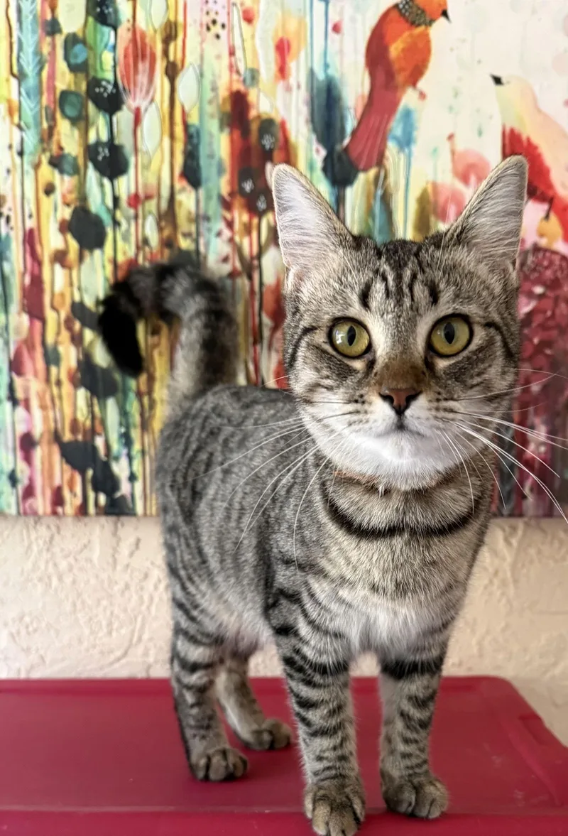 Elizabeth thumbnail 3