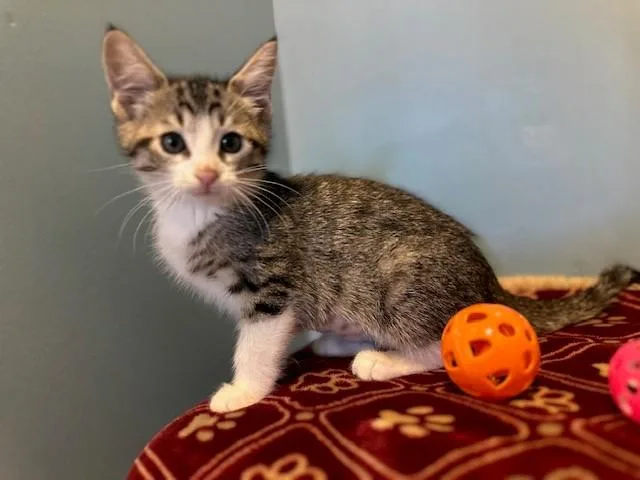 Tina