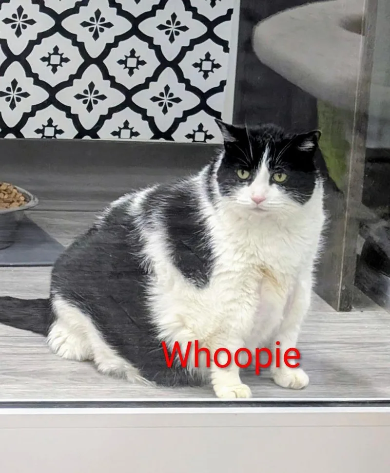 Whoopie