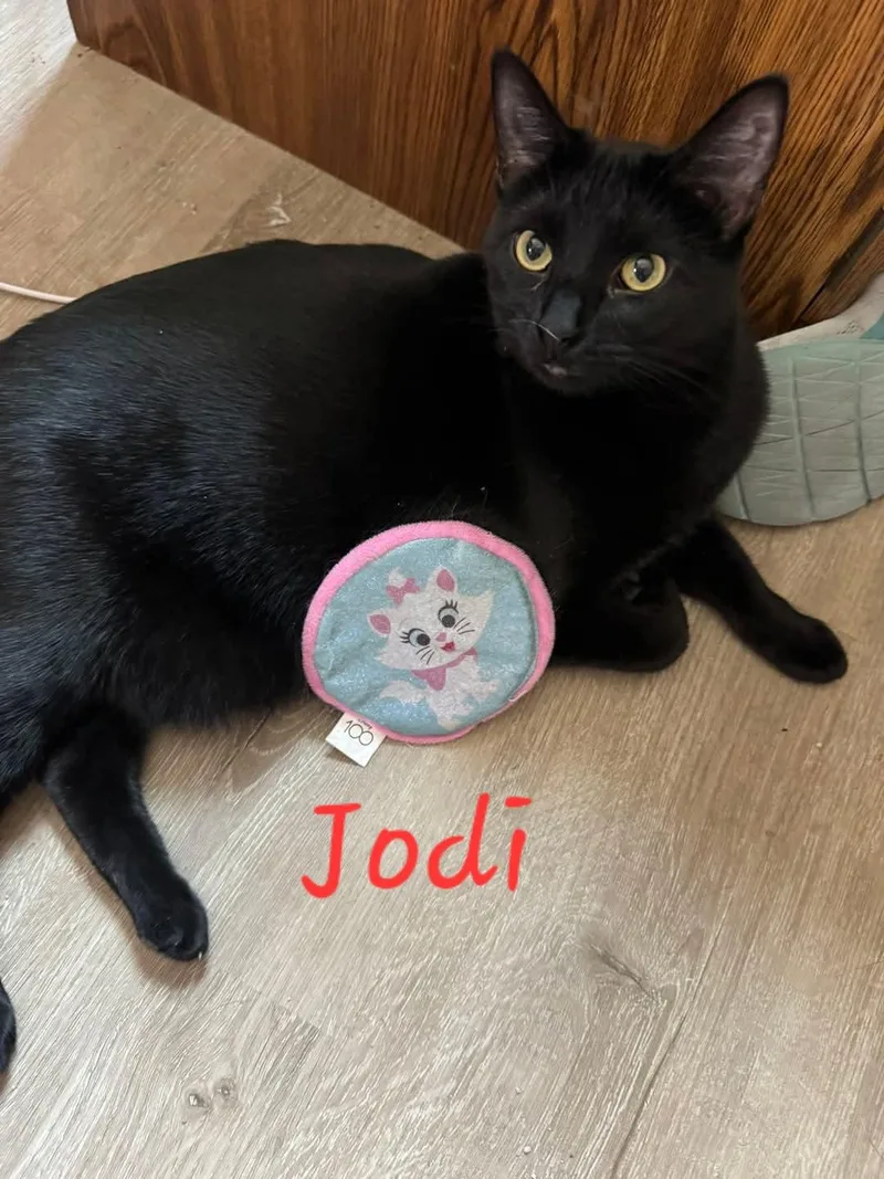 Jodi