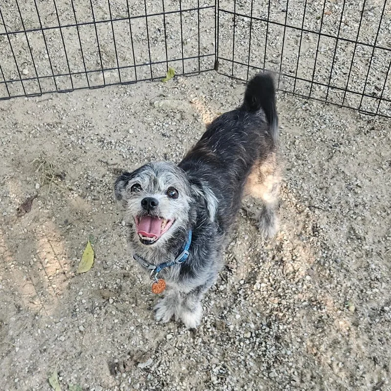 Frank
