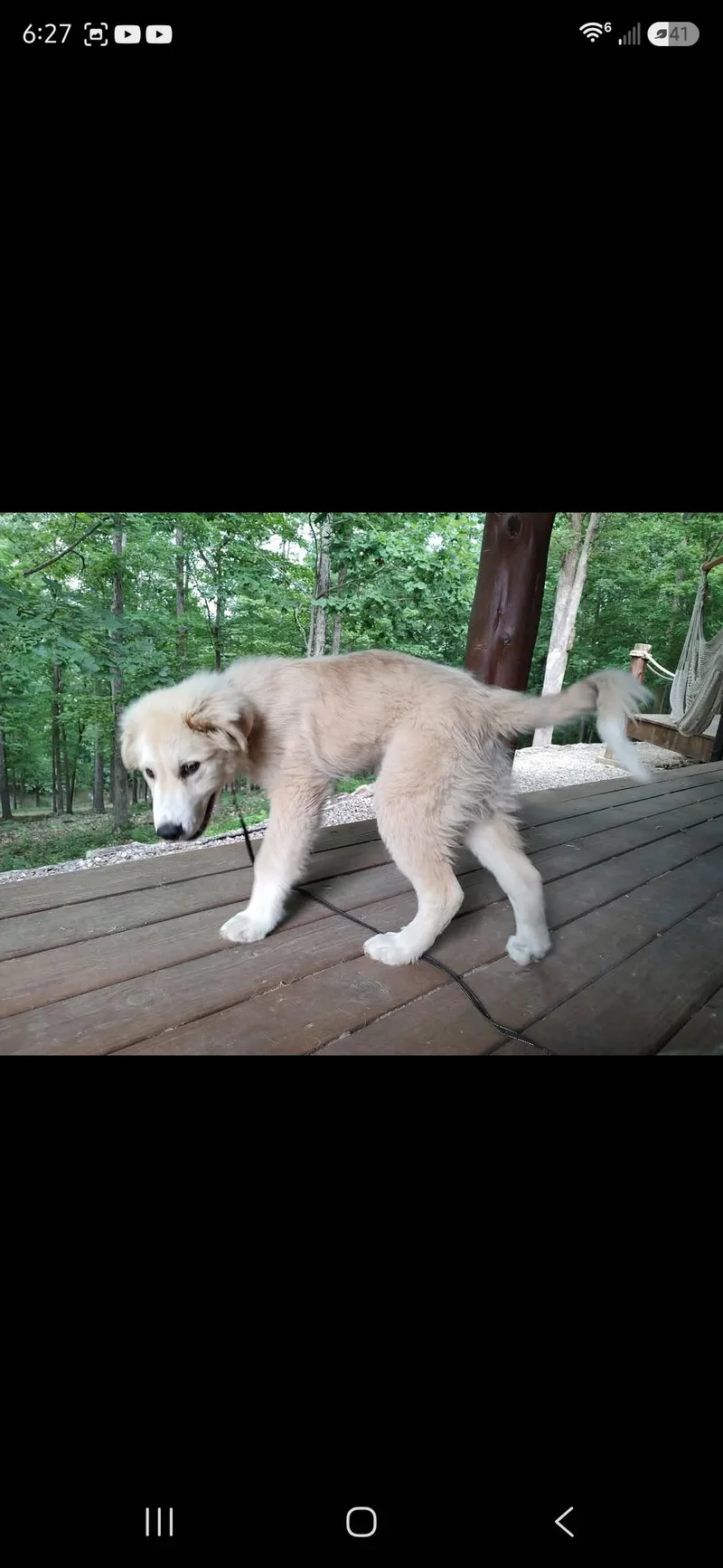 Caleb