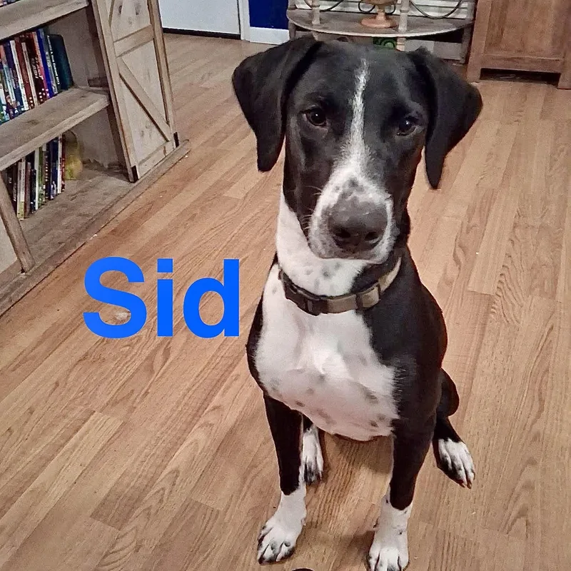 Cid thumbnail 4