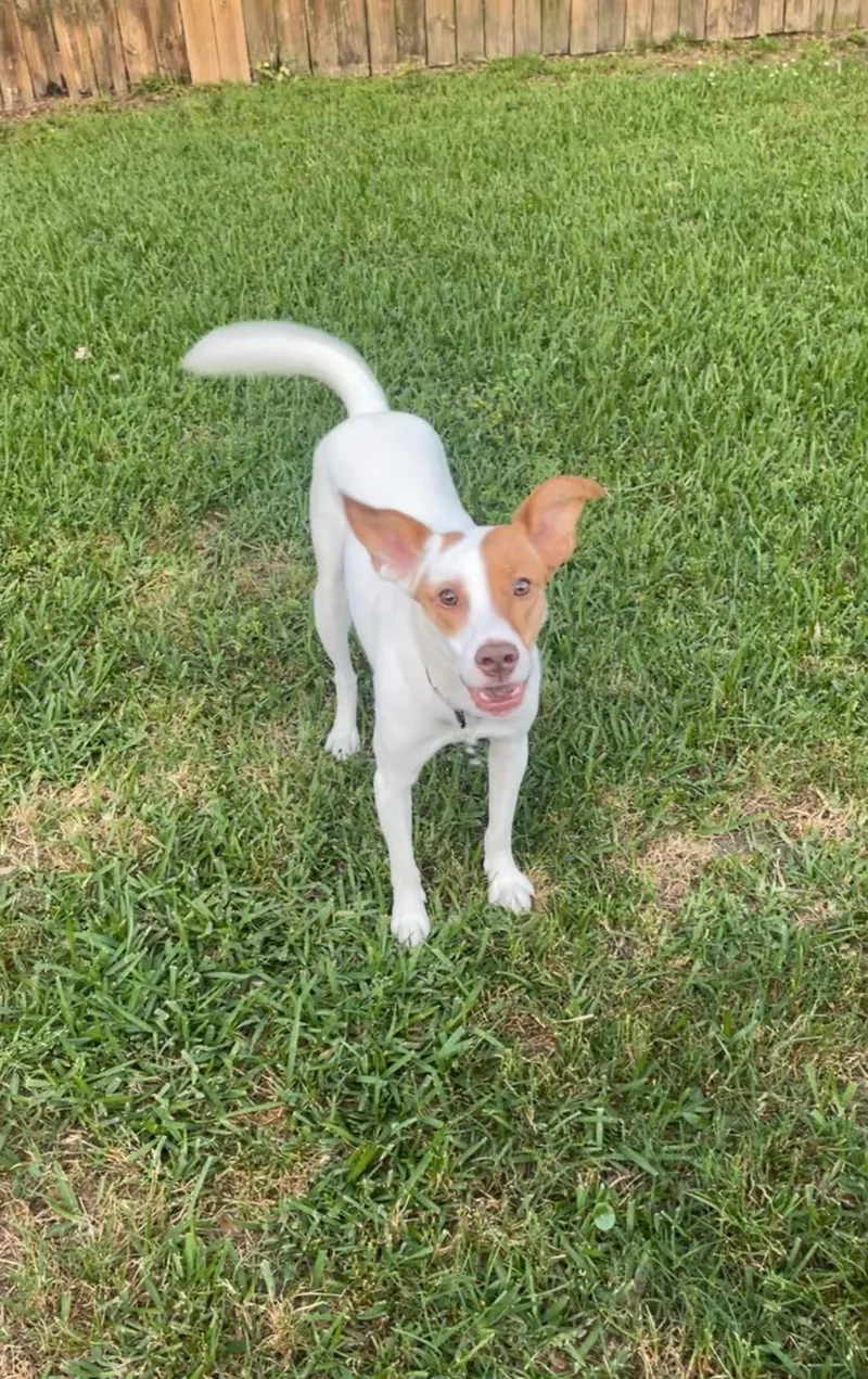 Minnie