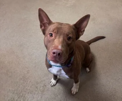 Charlene thumbnail 2