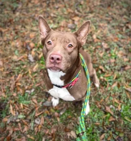 Charlene thumbnail 3