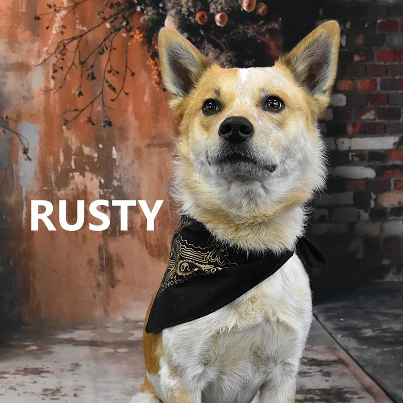 Rusty