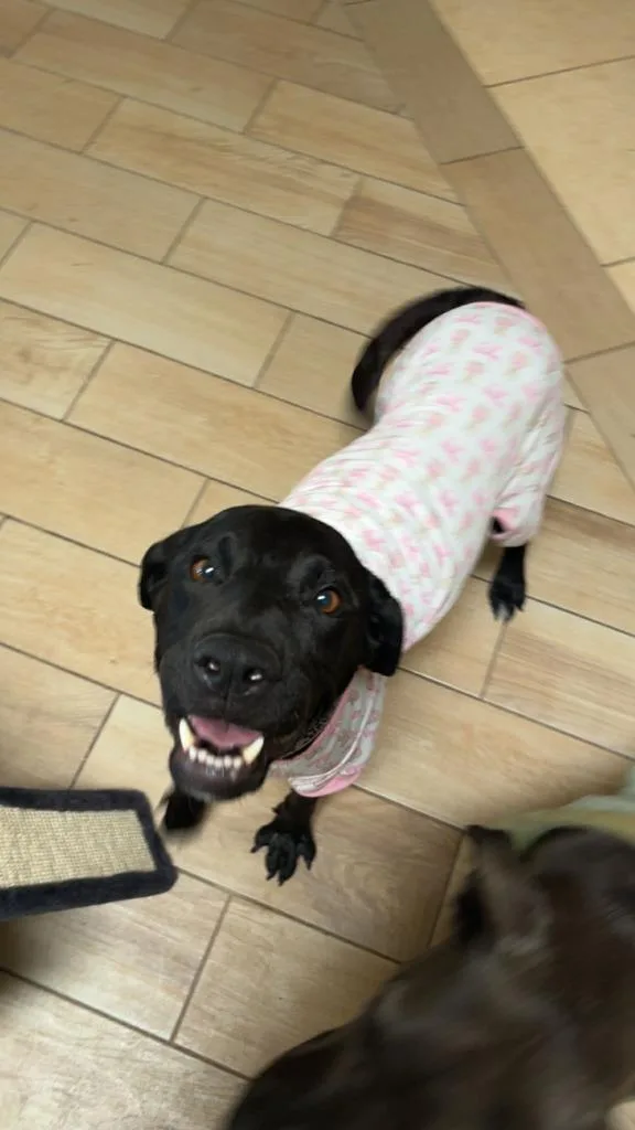 Lolabunny thumbnail 2