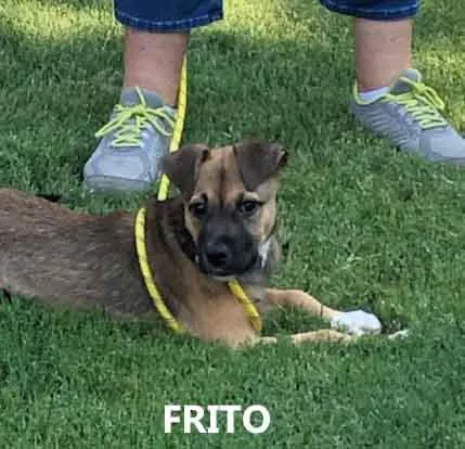 Frito