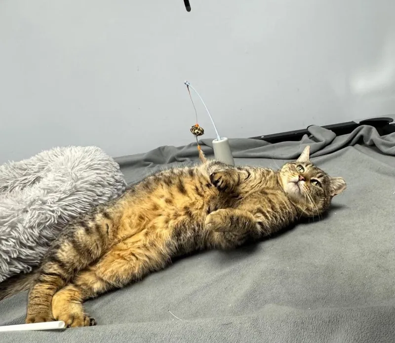 Jerry Travis thumbnail 2