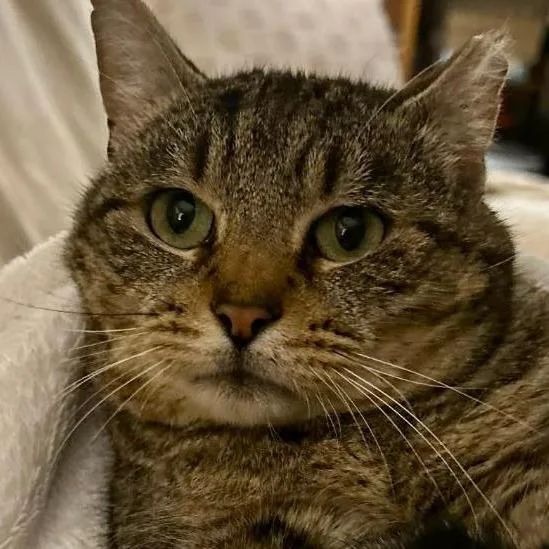 Jerry Travis thumbnail 3