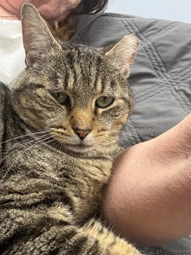 Jerry Travis thumbnail 5