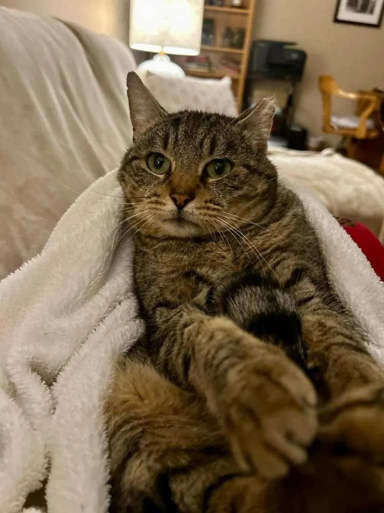 Jerry Travis thumbnail 6