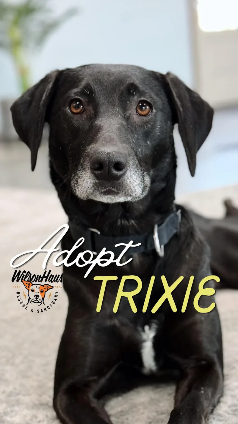 Trixie