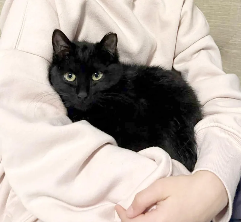 Purrla Is Pure Love! thumbnail 5