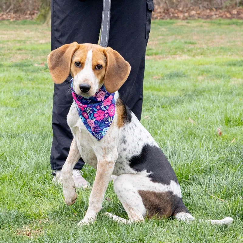 Ladyavail thumbnail 2