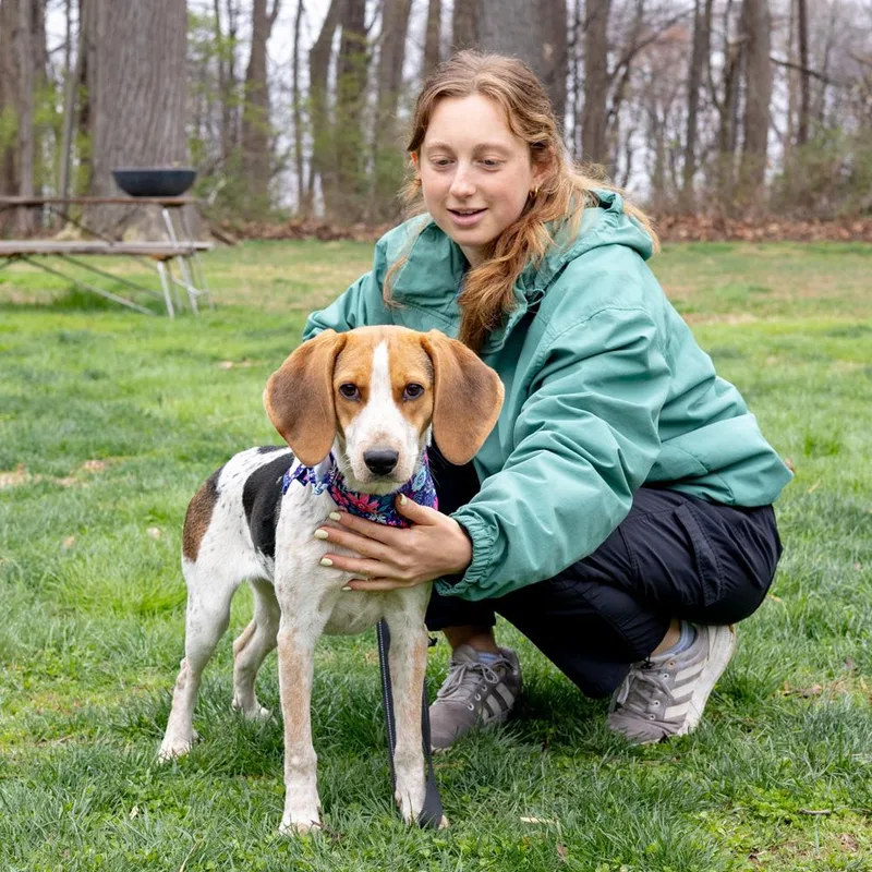 Ladyavail thumbnail 3