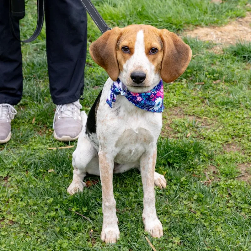 Ladyavail thumbnail 4