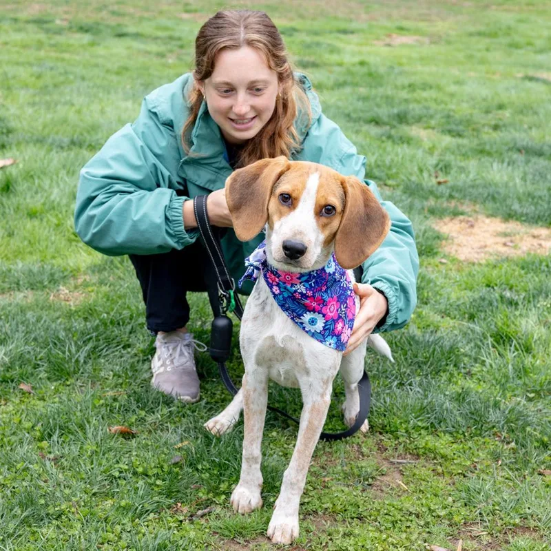 Ladyavail thumbnail 5