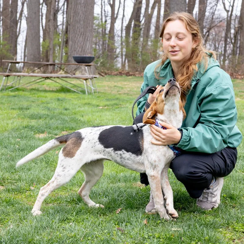 Ladyavail thumbnail 6