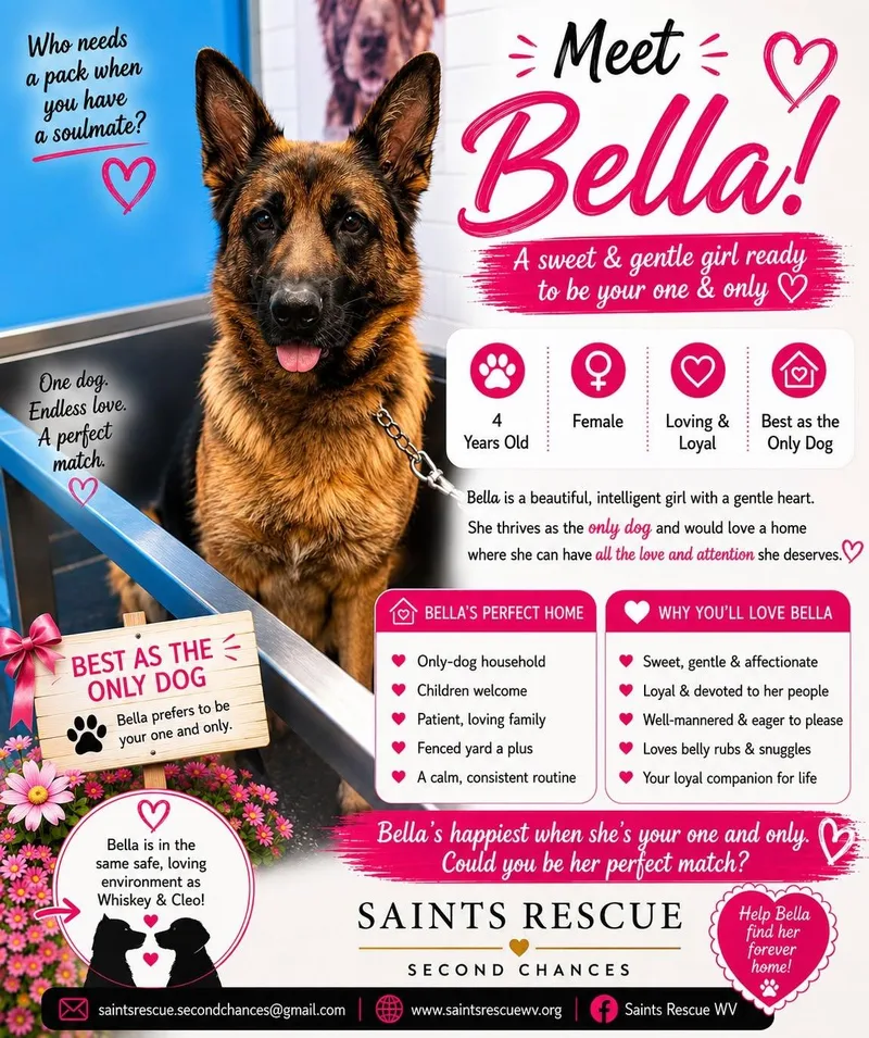Bella thumbnail 3