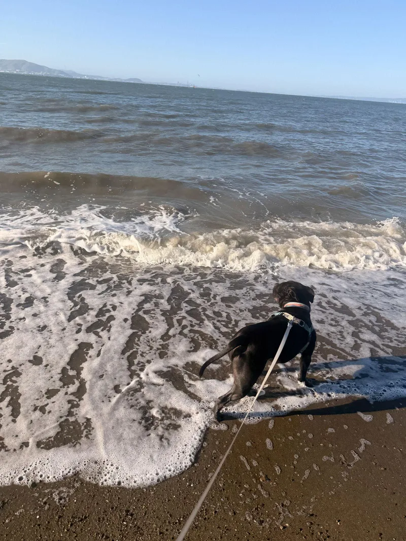 Tank Top thumbnail 2