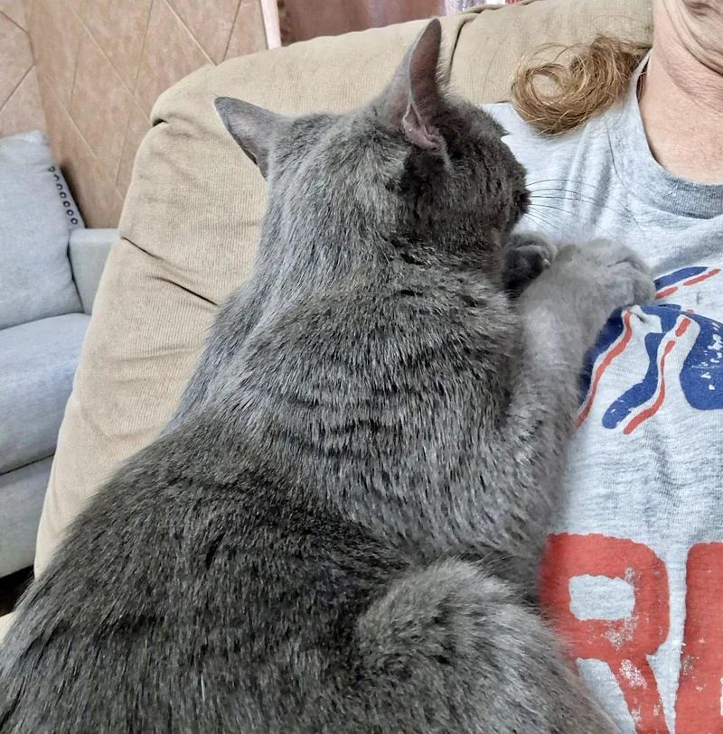 Smokey thumbnail 2