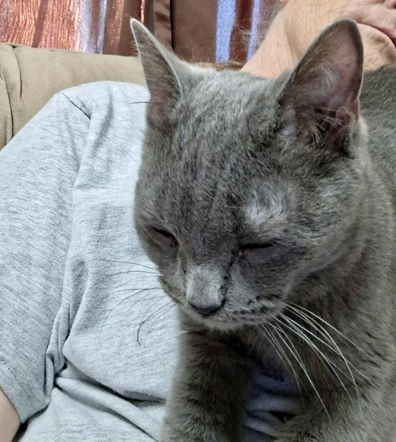 Smokey thumbnail 5