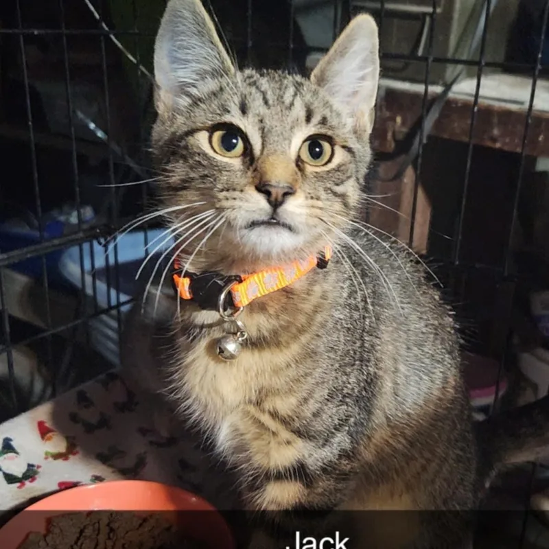 Jack