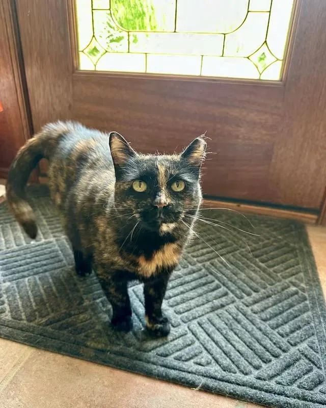 Clawdia thumbnail 2