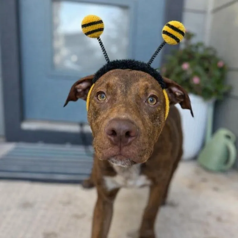 Jason Statham thumbnail 2