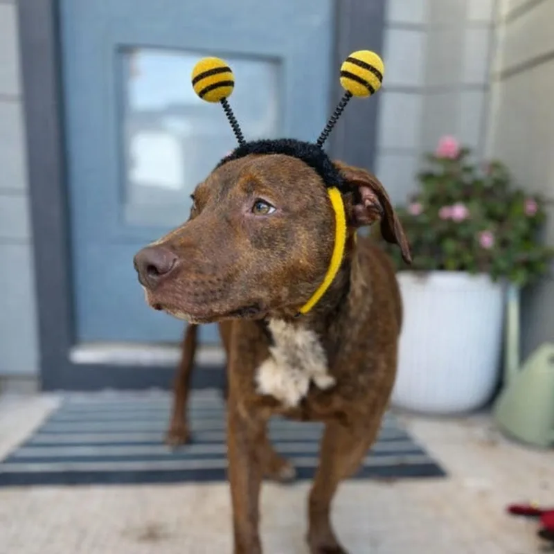 Jason Statham thumbnail 3