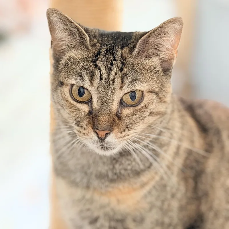 Maryanne thumbnail 3