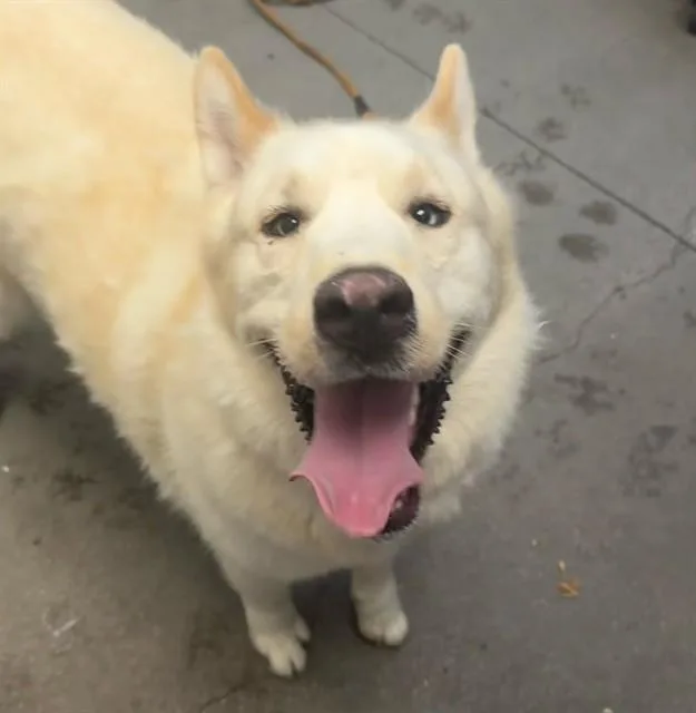 Yukon
