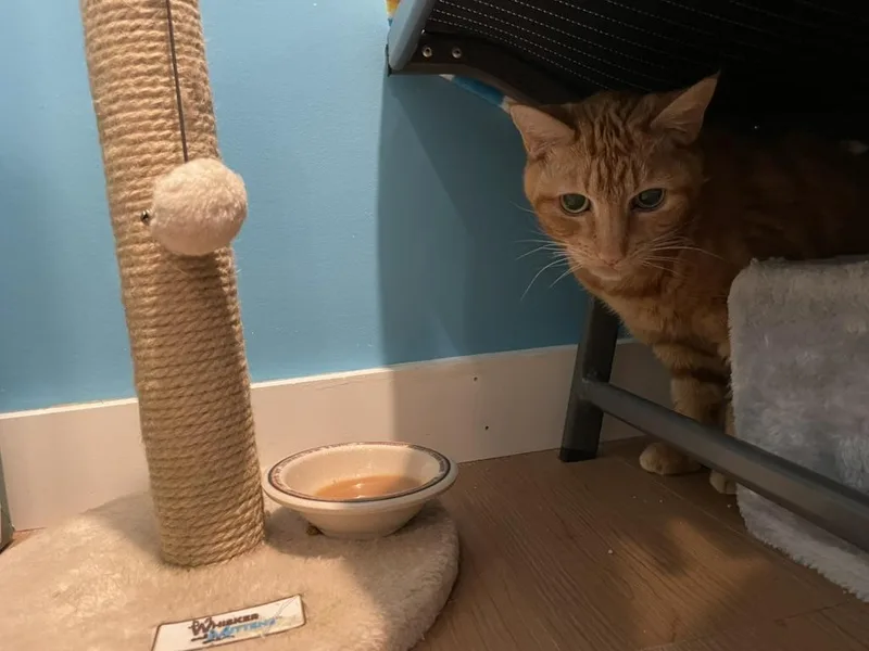 Cash & Tabatha thumbnail 2